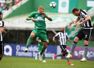 Garotos da base poderão assistir Chapecoense X Botafogo