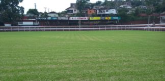 Cometa entra em campo neste domingo