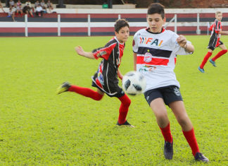 Seis atletas são aprovados na avaliação em Itapiranga-SC