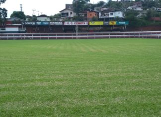Cometa entra em campo neste domingo
