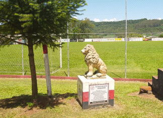 Cometa apresentará seu elenco para 2022 hoje